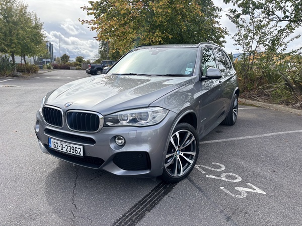 X5 2.0 Dsl ~ M Sports Edition ~ S Drive. 